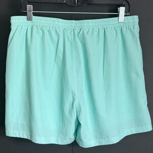 Clifton Mens Swim Trunks Mint Aqua Blue Mesh Lined Drawstring Shorts Size Medium